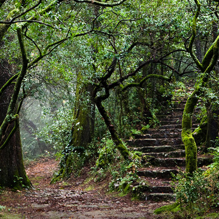 Naturaleza